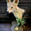 Thumbnail: Taxidermy African Jackal head and neck