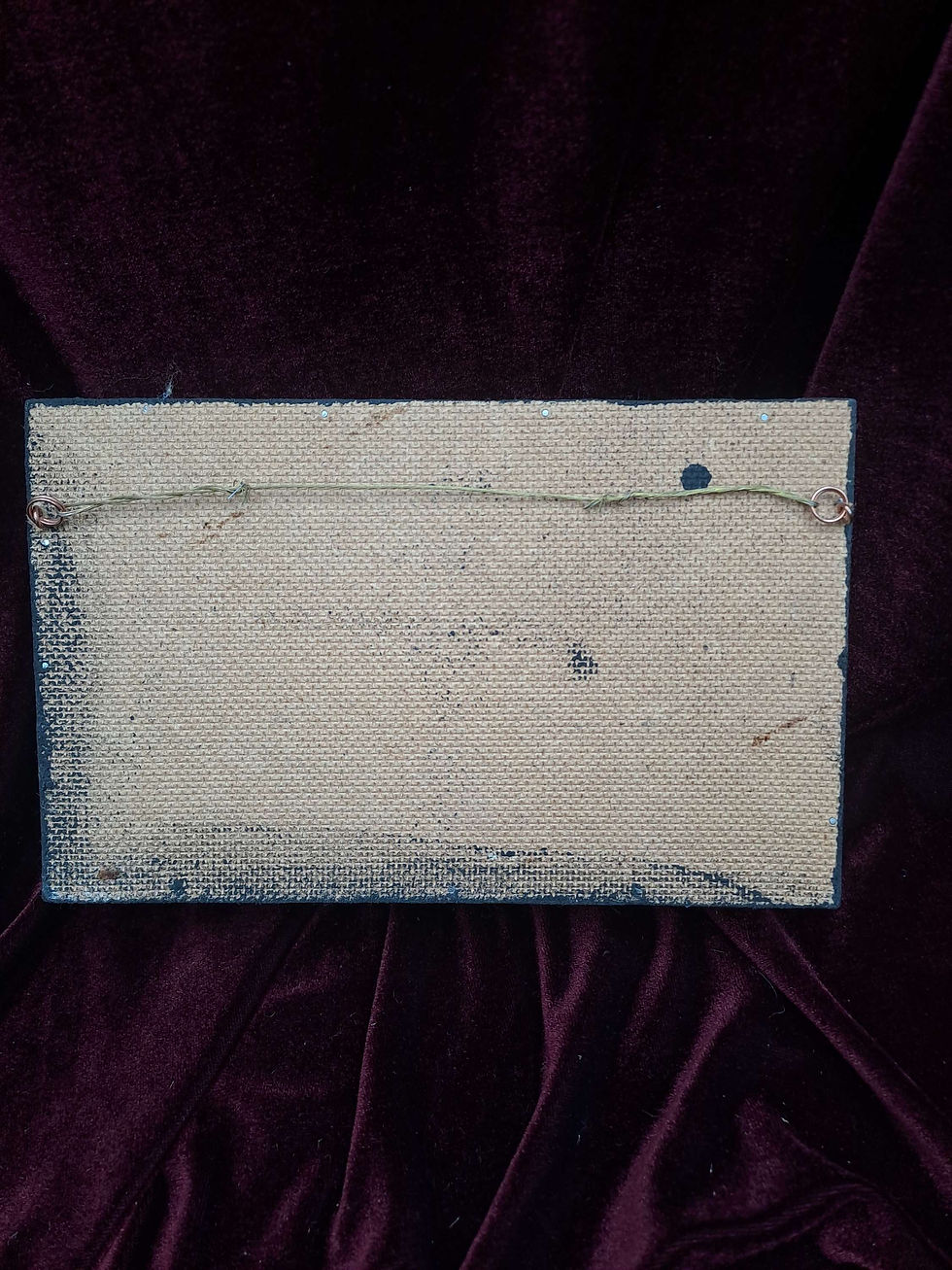 Thumbnail: Taxidermy Framed Insects: Collection of Blood Feeders
