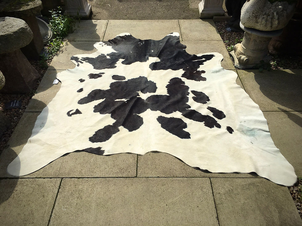 Thumbnail: Black And White Cow Hide
