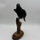 Thumbnail: Taxidermy Jackdaw on Branch
