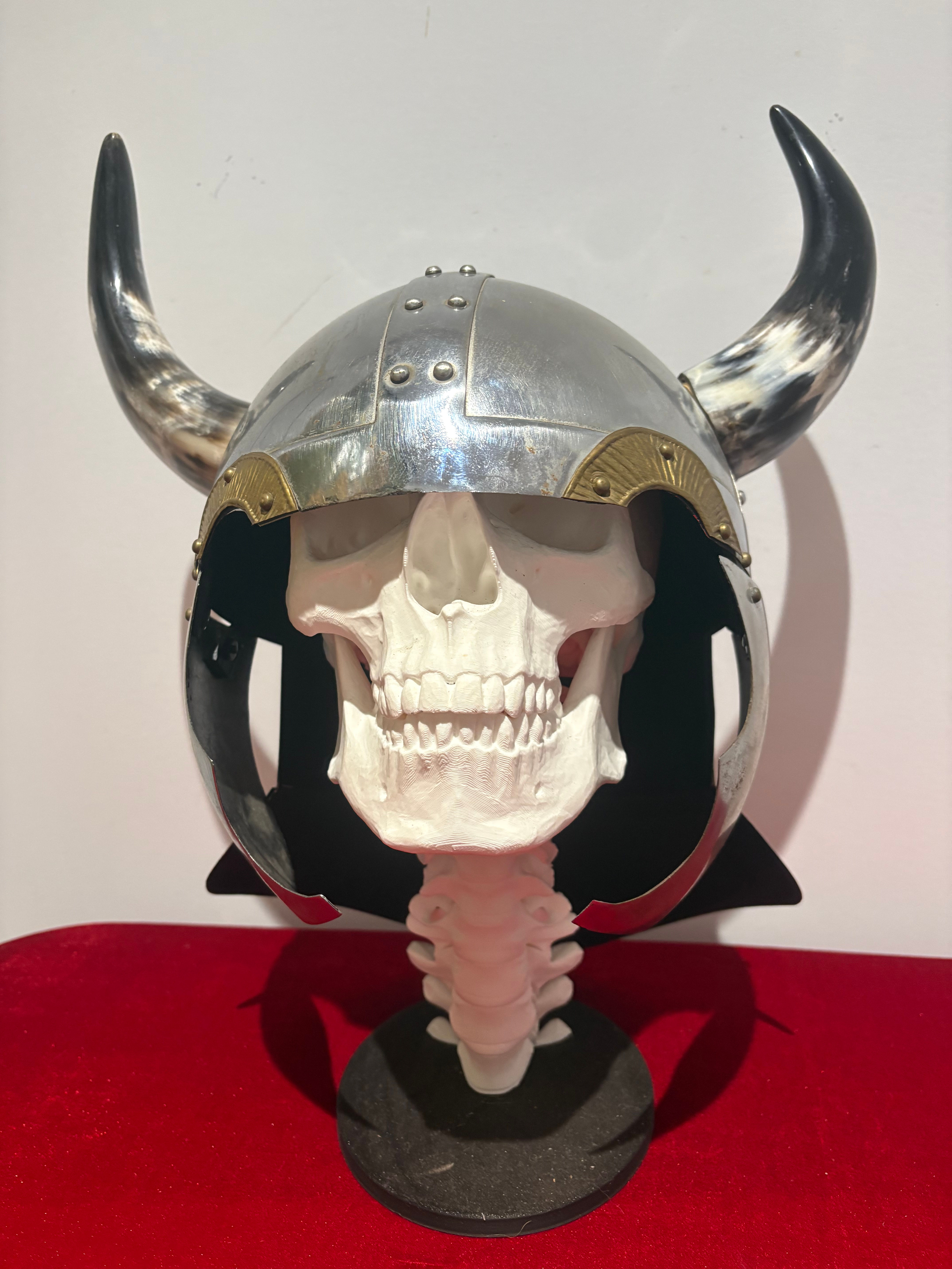 Viking Metal Helmet (Reproduction) with Real Cow Horns Great Party Halloween Pro