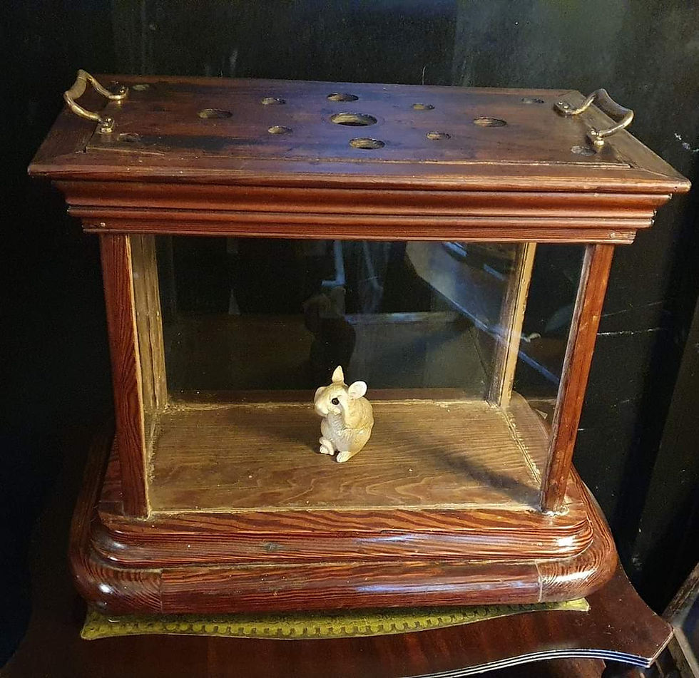 Thumbnail: Antique Specimen Cage/ Terrarium
