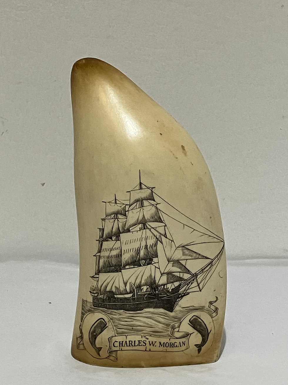 Large Replica Scrimshaw Whales Tooth “Charles W. Morgan” “Mystic Seaport”