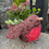 Thumbnail: Christmas : Festive Brushwood Robin Planter   P