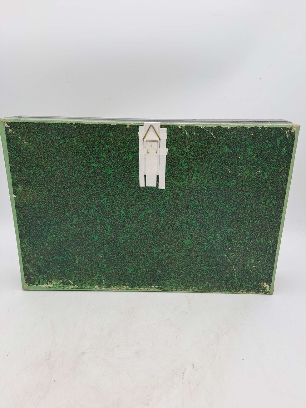 Thumbnail: Taxidermy Framed Insects: Antique Entomology Display Case of Water Beetles