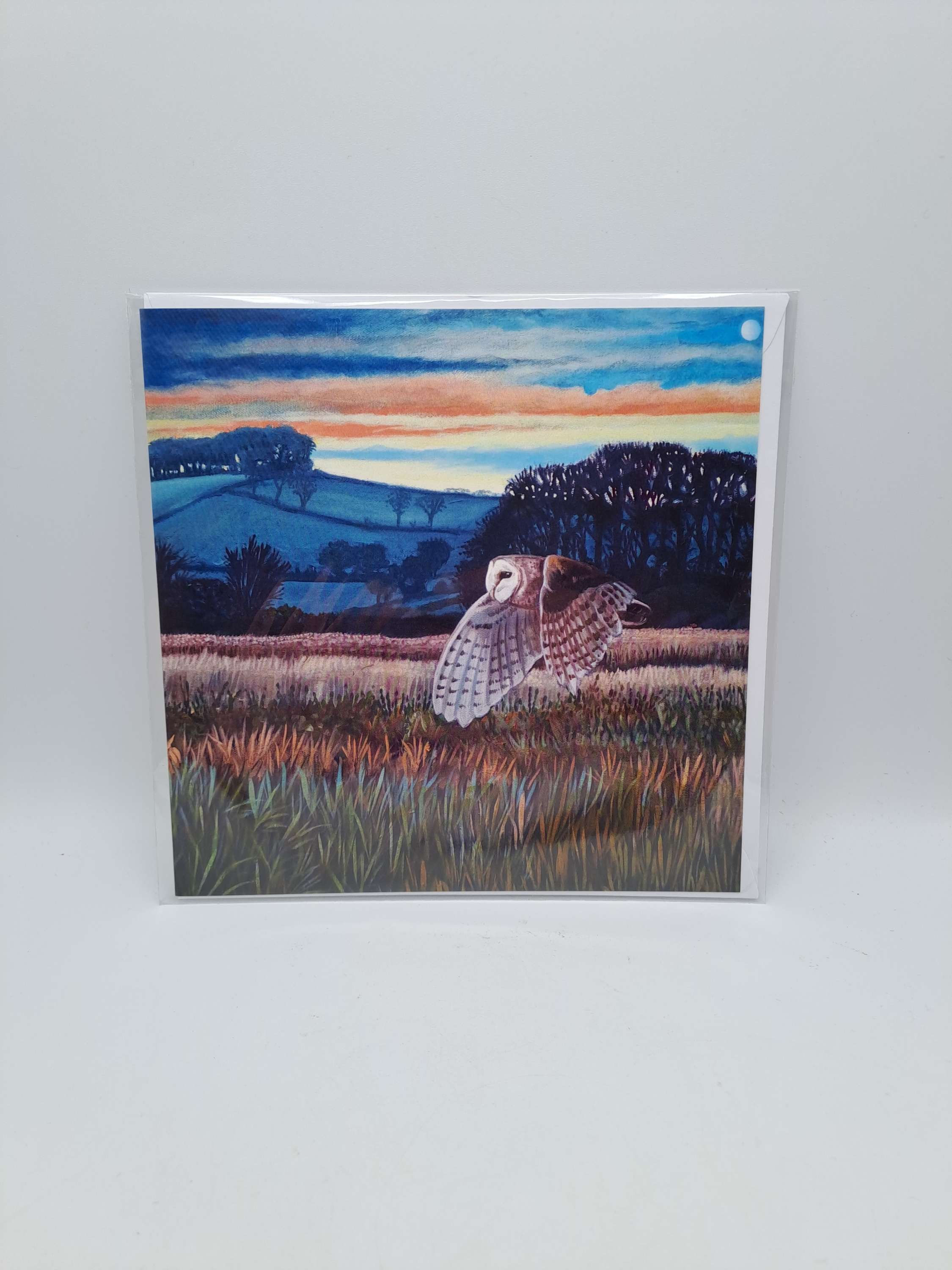 David Harris Print Greeting Card
Blank “Barn Owl at Caelaverock"