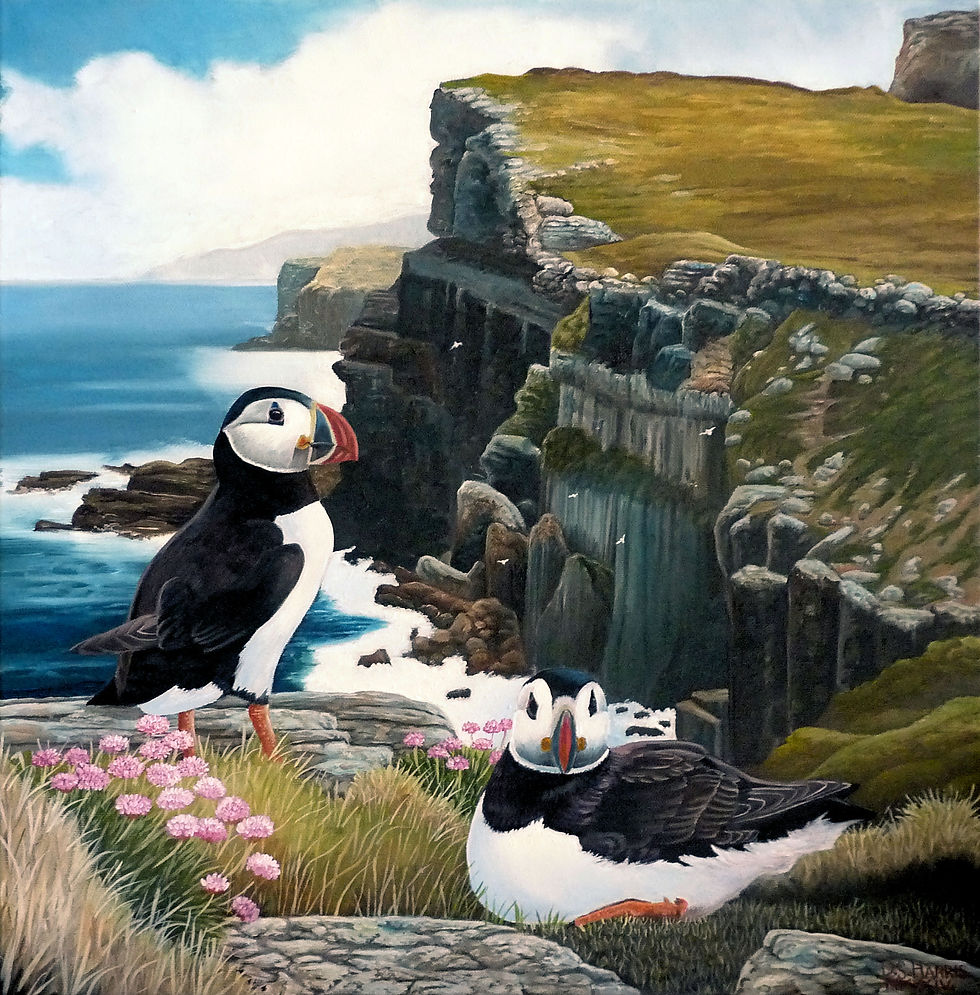 Puffins Oil On Canvas by David Harris