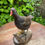 Thumbnail: Taxidermy Moorhen