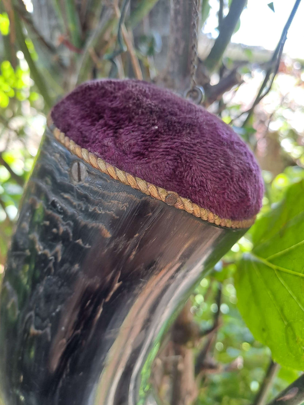 Thumbnail: Victorian Horn Hanger