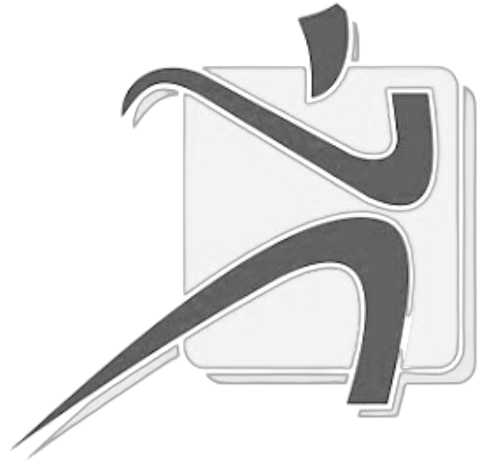 Copy of FENIX Trucking  (1) copy_edited.png