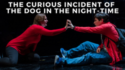 CURIOUS INCIDENT