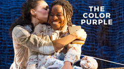 THE COLOR PURPLE