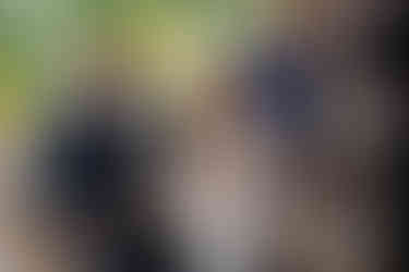 Novios riendo durante la ceremonia civil celebrada en una masia