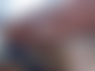 Por que Escolher o Forro em PVC Junta Seca Liso Madeirado para Transformar Seu Ambiente?