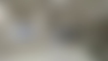 Divisórias eucatex e Forros de teto Lojas: Encontre as Melhores Opções em São Paulo