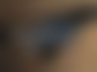 Como acabar com ratos no forro de pvc