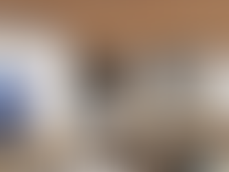 FORRO PVC RELEVO RÚSTICO PLASBIL