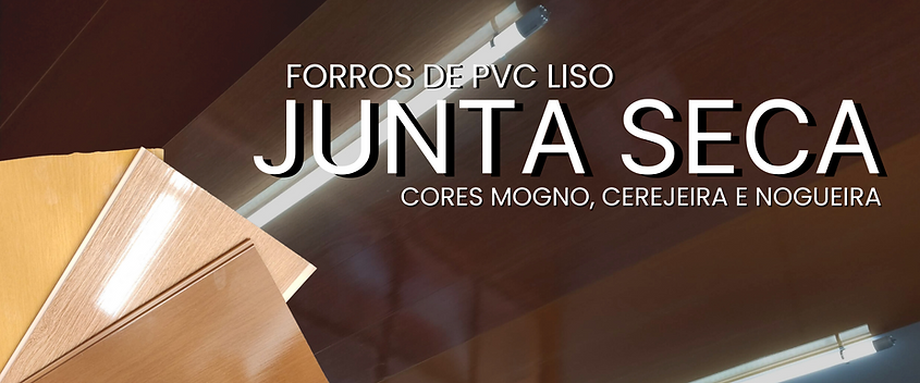 Cópia de Cópia de FORROS DE PVC.png