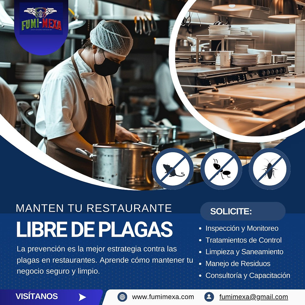 El control de plagas en restaurantes es la mejor inversión en su negocio de comida