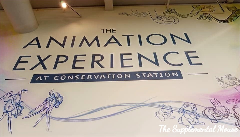 Animation Experience Drawing Sketch Characters at The Animation Experience