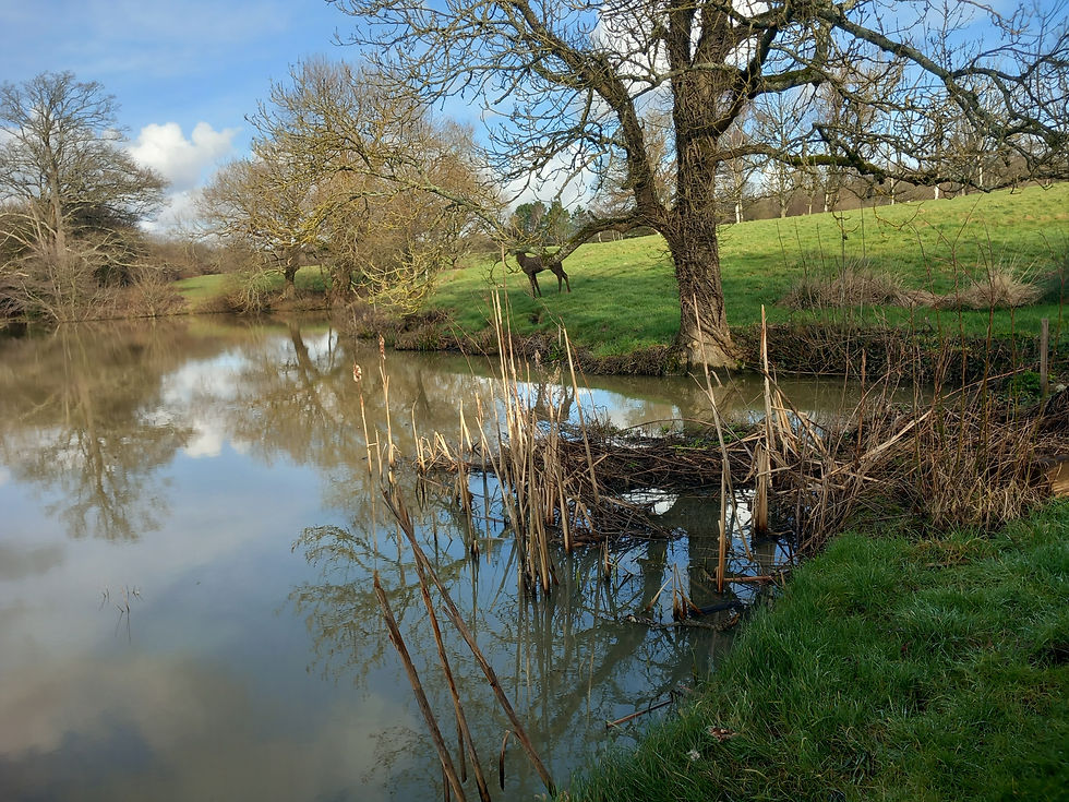 Water Workshop
