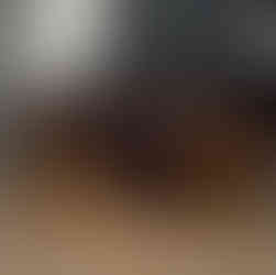 Chocolate brown fleece dog blanket