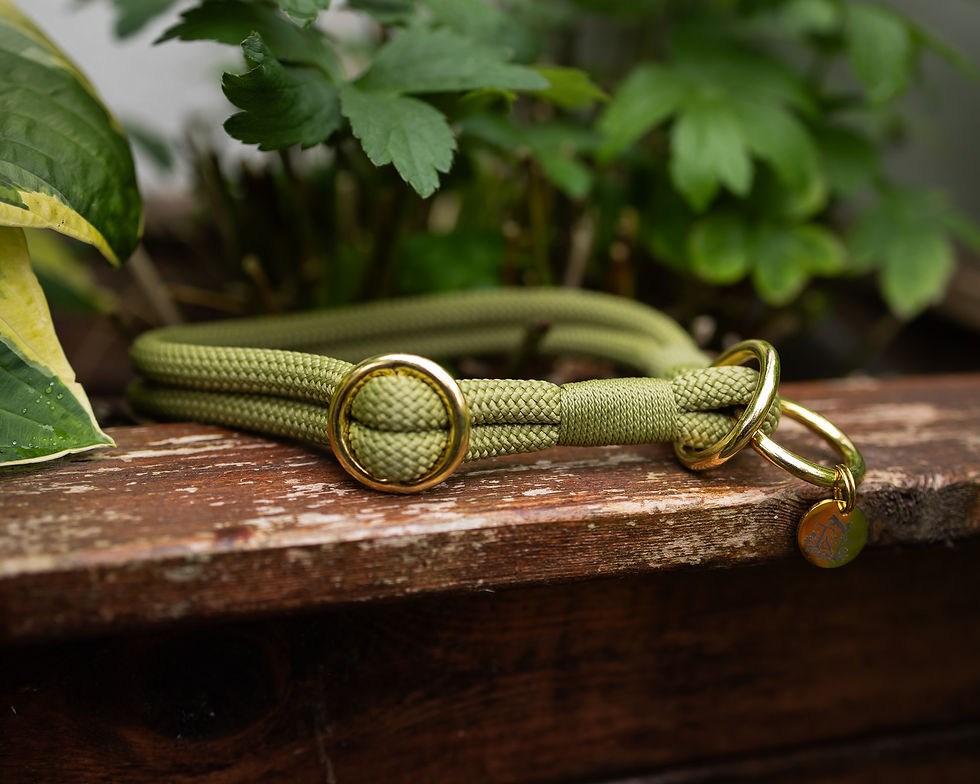 Thumbnail: The Field Collection Slip Collars