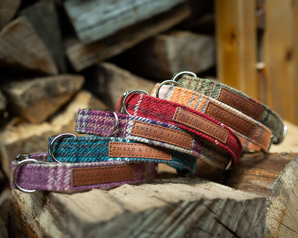 Tartan Dog Collars & Leads-21.jpg