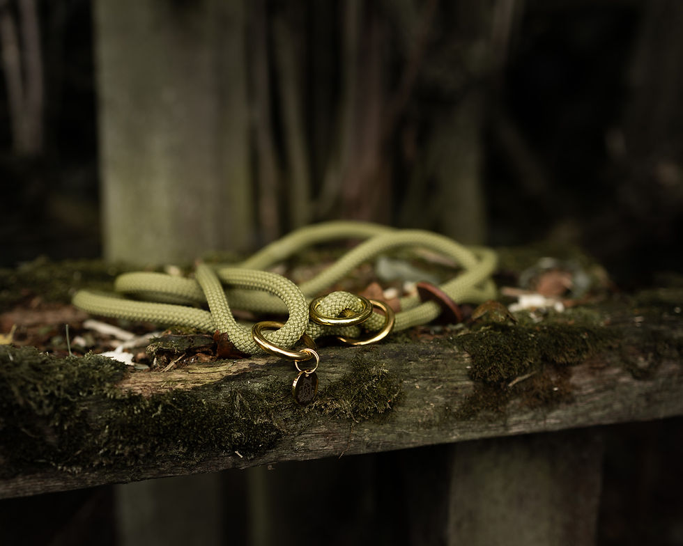 The Field Collection Slip Lead