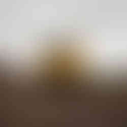 Groundworks contractor on a farm staffordshire