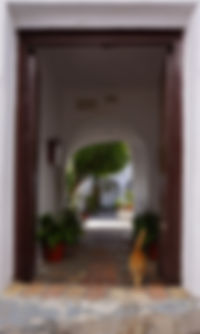 "The Widows' House", Vejer