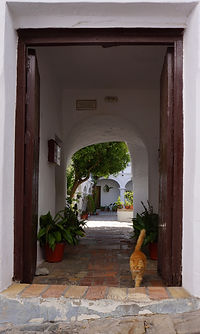 "The Widows' House", Vejer
