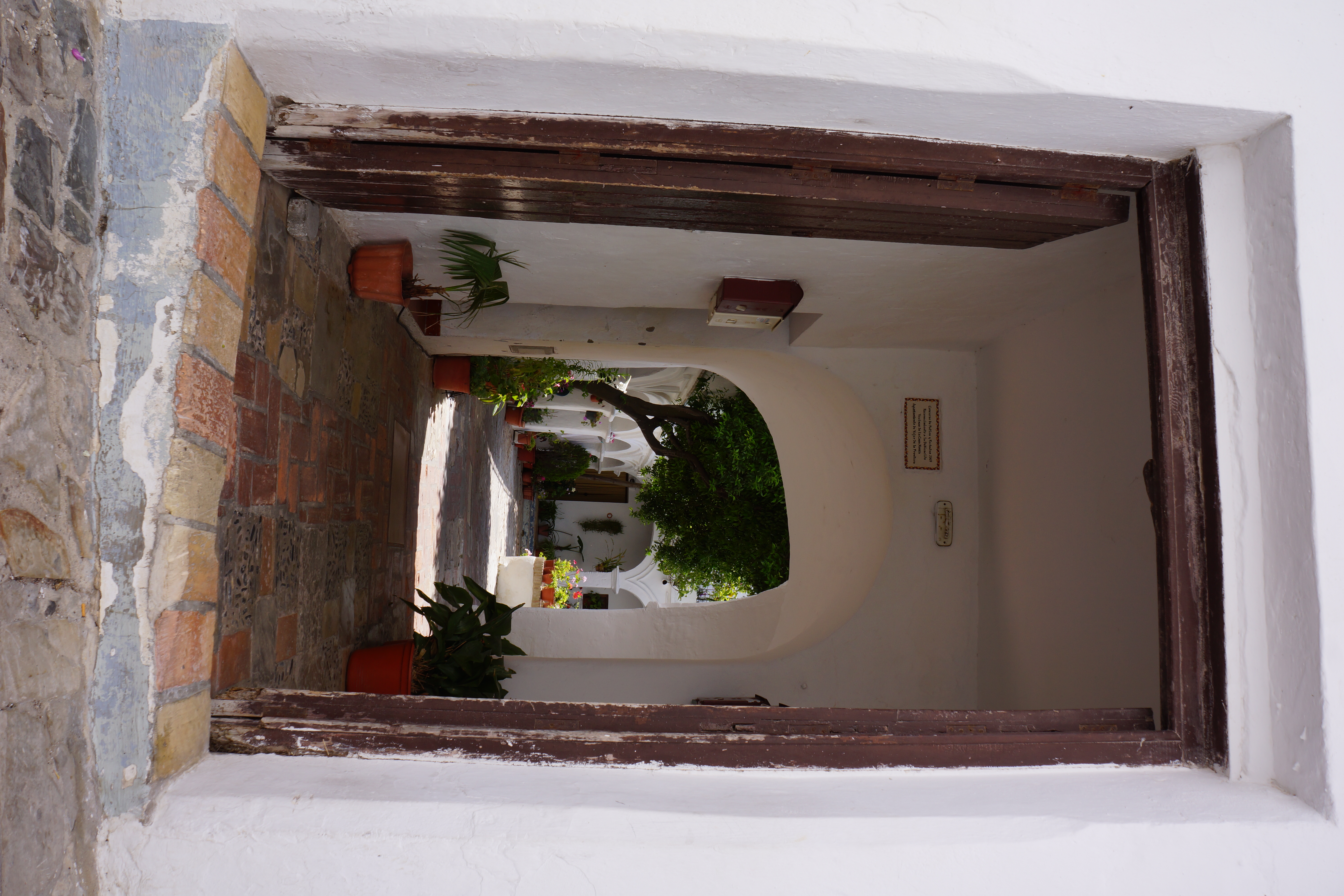 Widows' House / Casa de las viudas