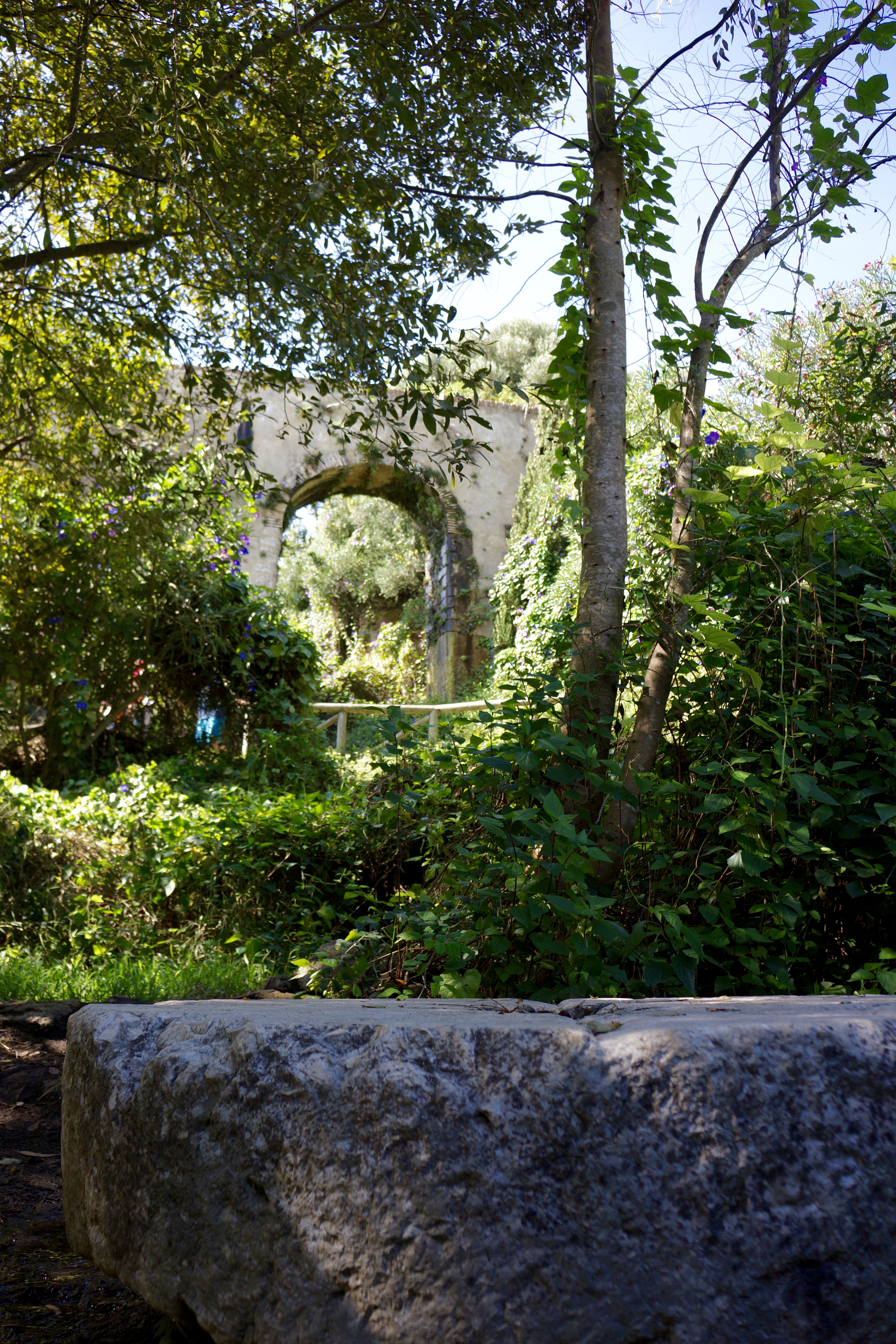 Santa Lucia