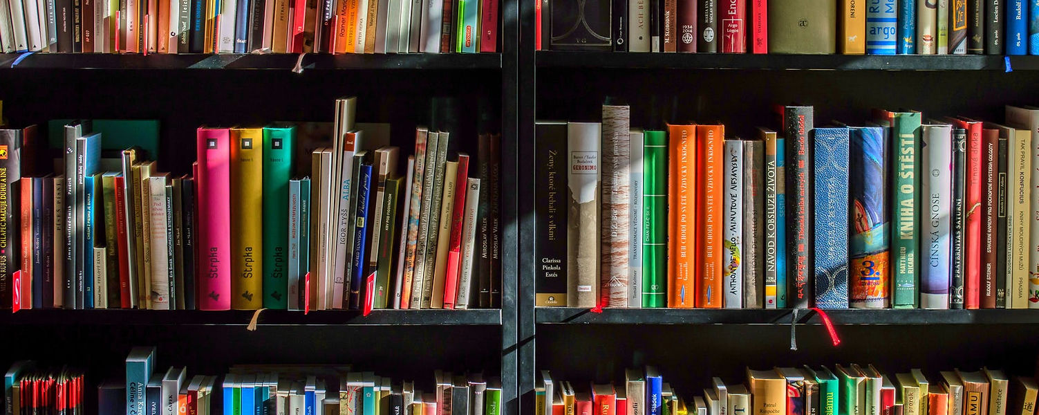 books-bookstore-book-reading