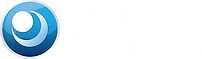 PPI-engineering-logo-white.png
