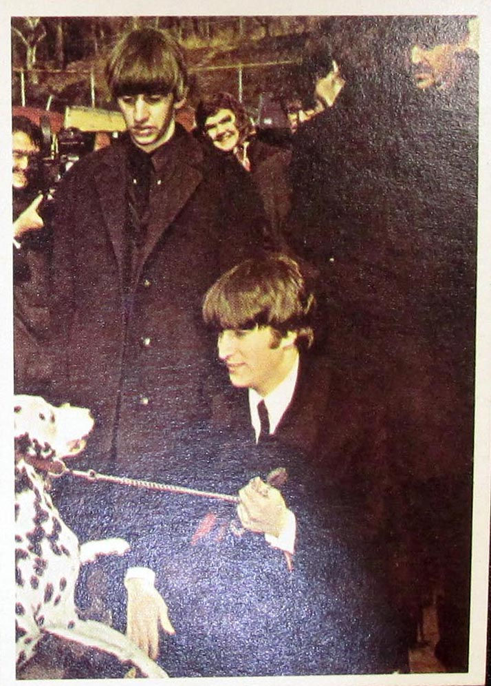 Thumbnail: Color Beatles Cards, Q&A On Rear Of Card