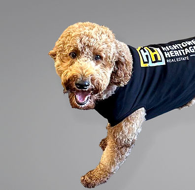 Hightower Heritage Real Estate Rover, Remi