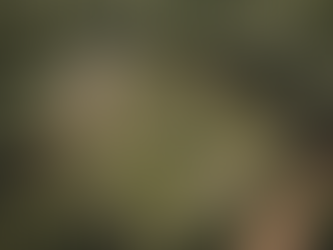 Empowering Tomorrow's Leaders in Ivory Coast's Eco-School Project