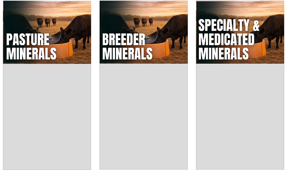 Mineral Cards.png