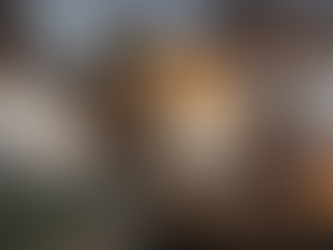 Por que os contos de fada são importantes?