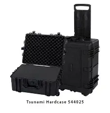544025 Tsunami case