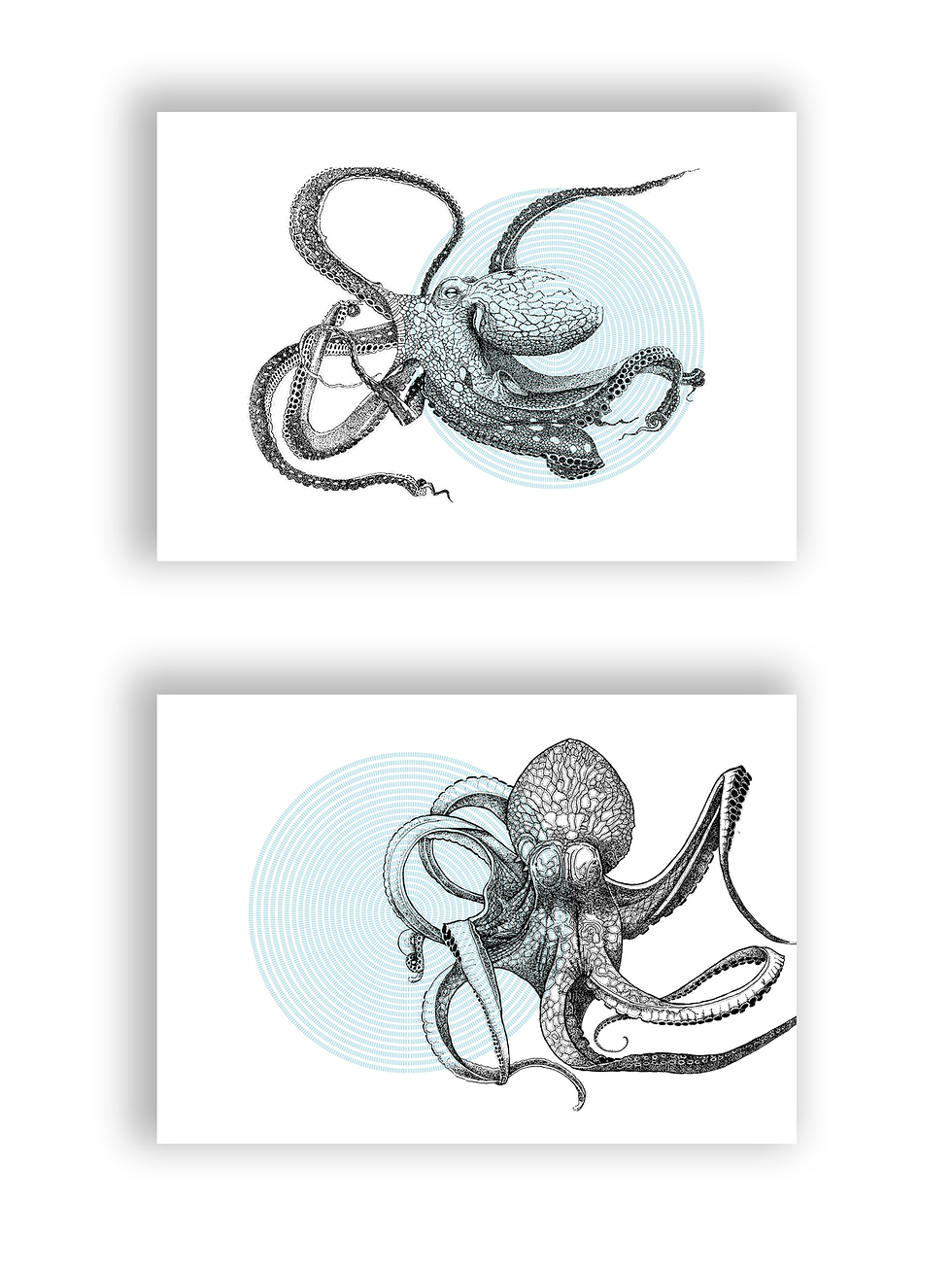 Thumbnail: OCTOPUS I