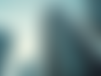 外国人向け住居許可申請のプロセス