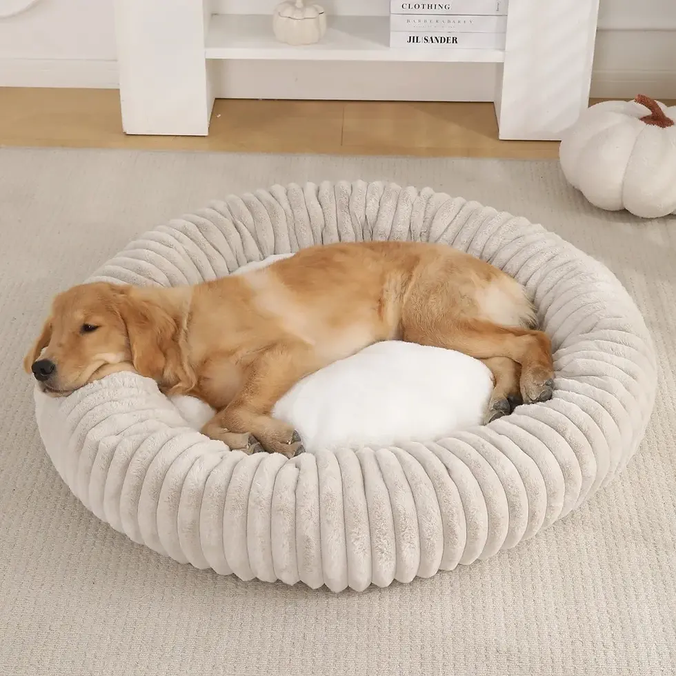 Thumbnail: Classic Fiber Dog Bed for Cats and Dogs