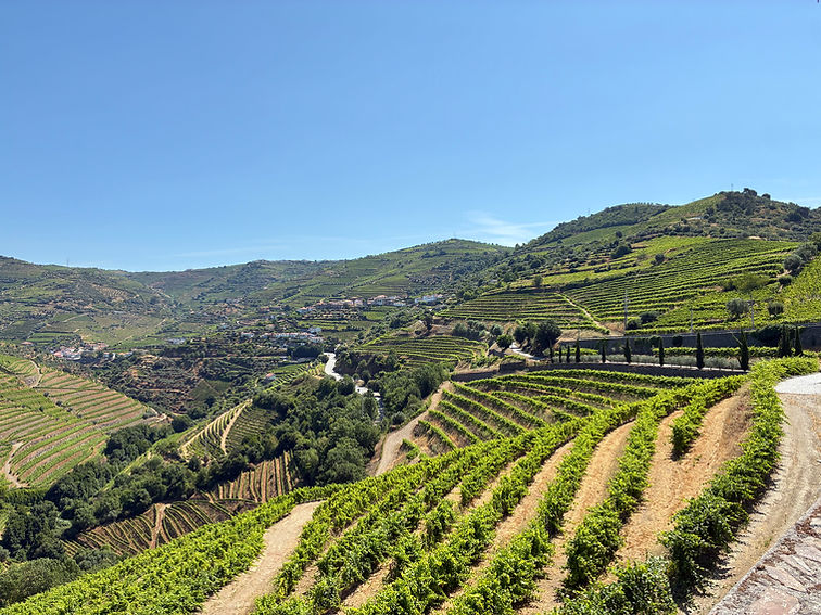 Douro Valley Wine Tour.jpg