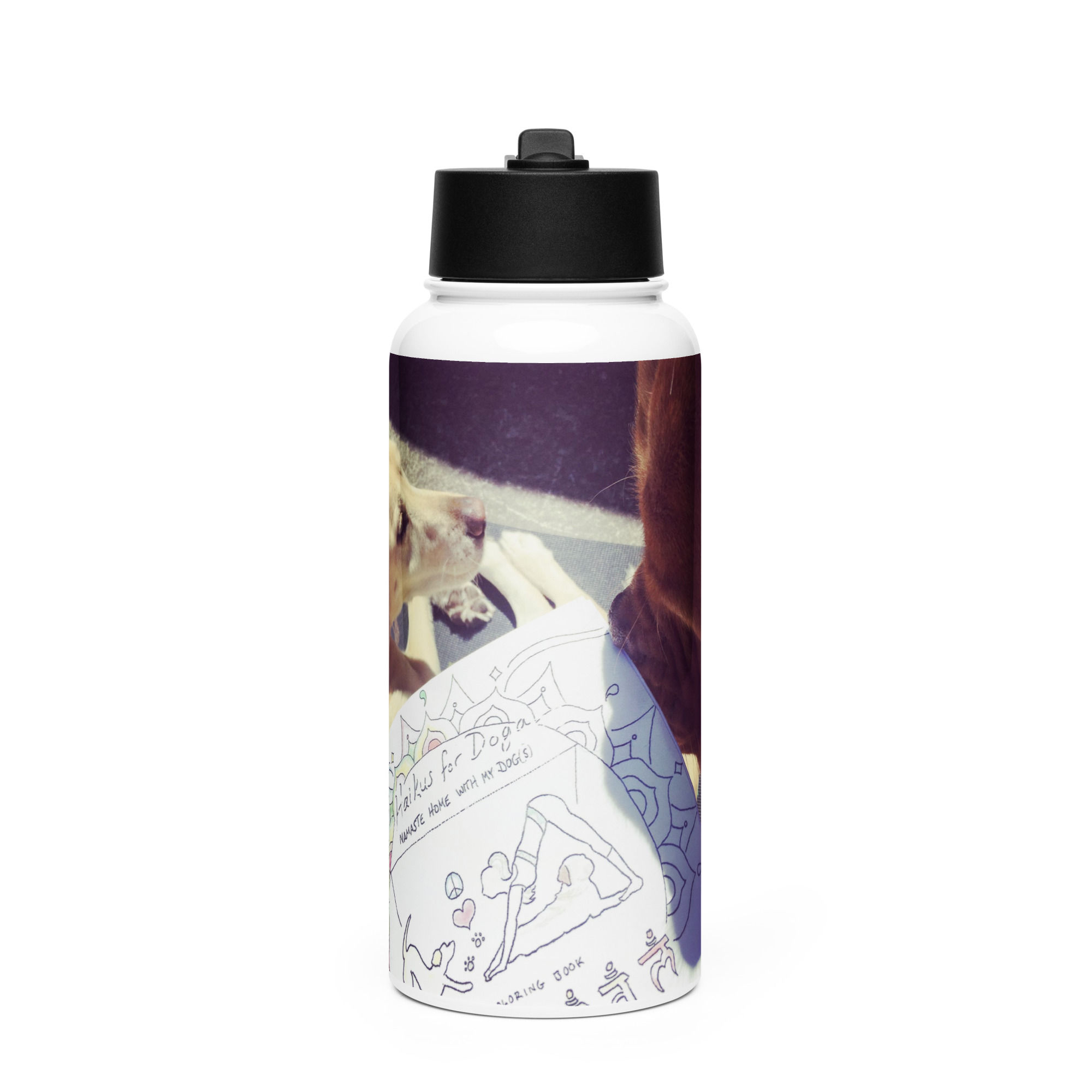 stainless steel water bottle with straw lid | Haikus for Doga
