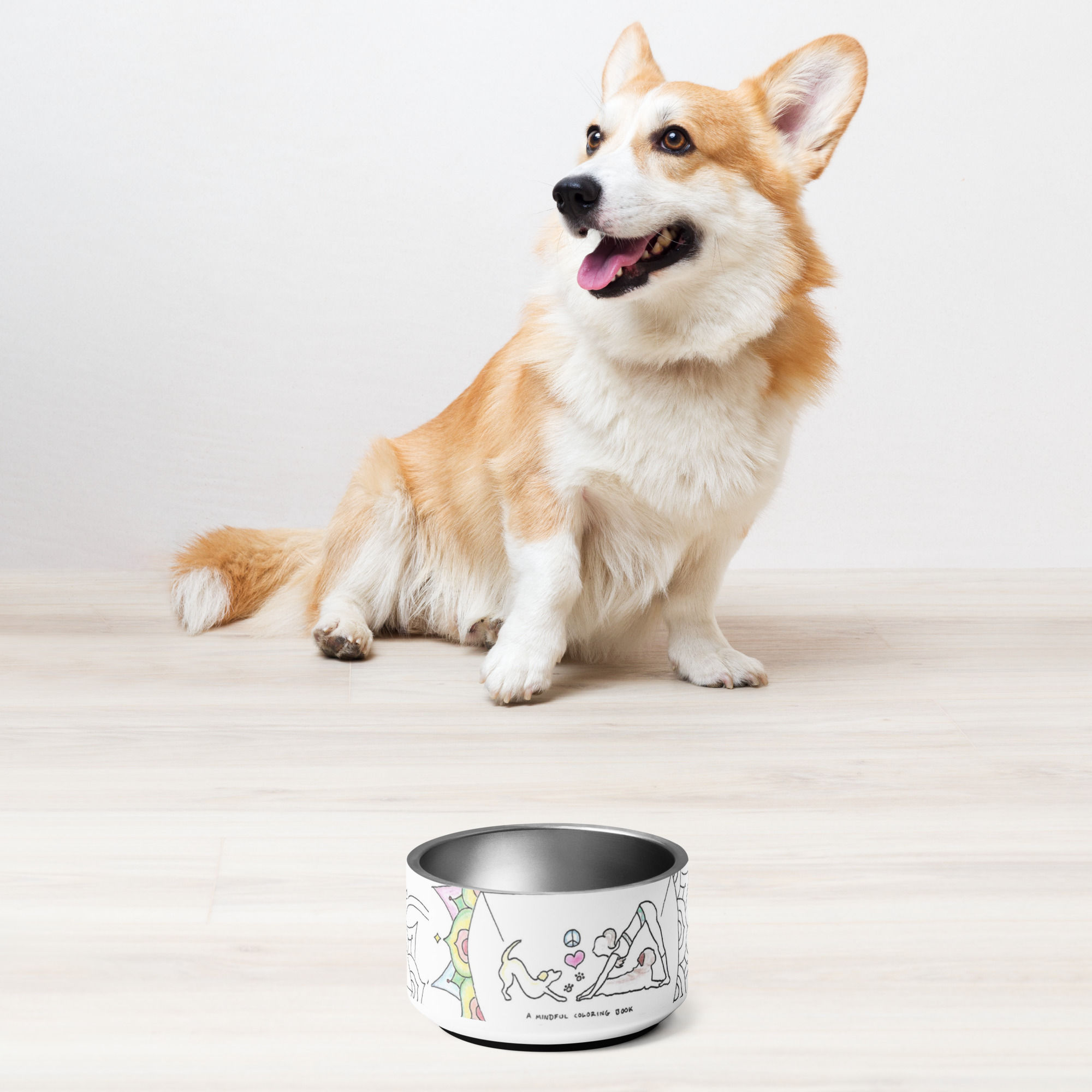 pet bowl | Haikus for Doga