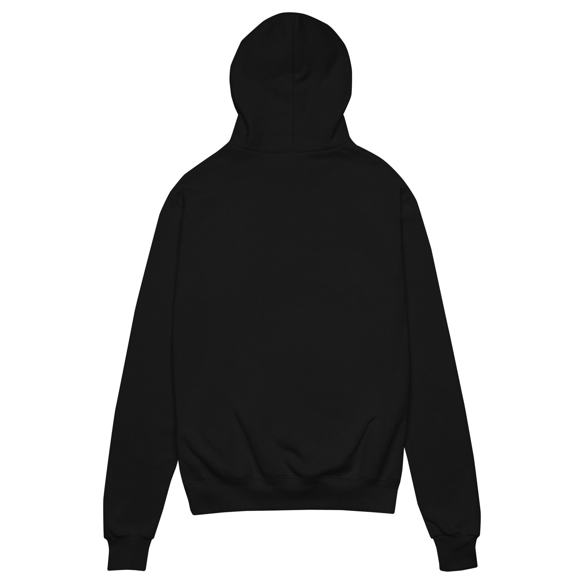 unisex Champion hoodie