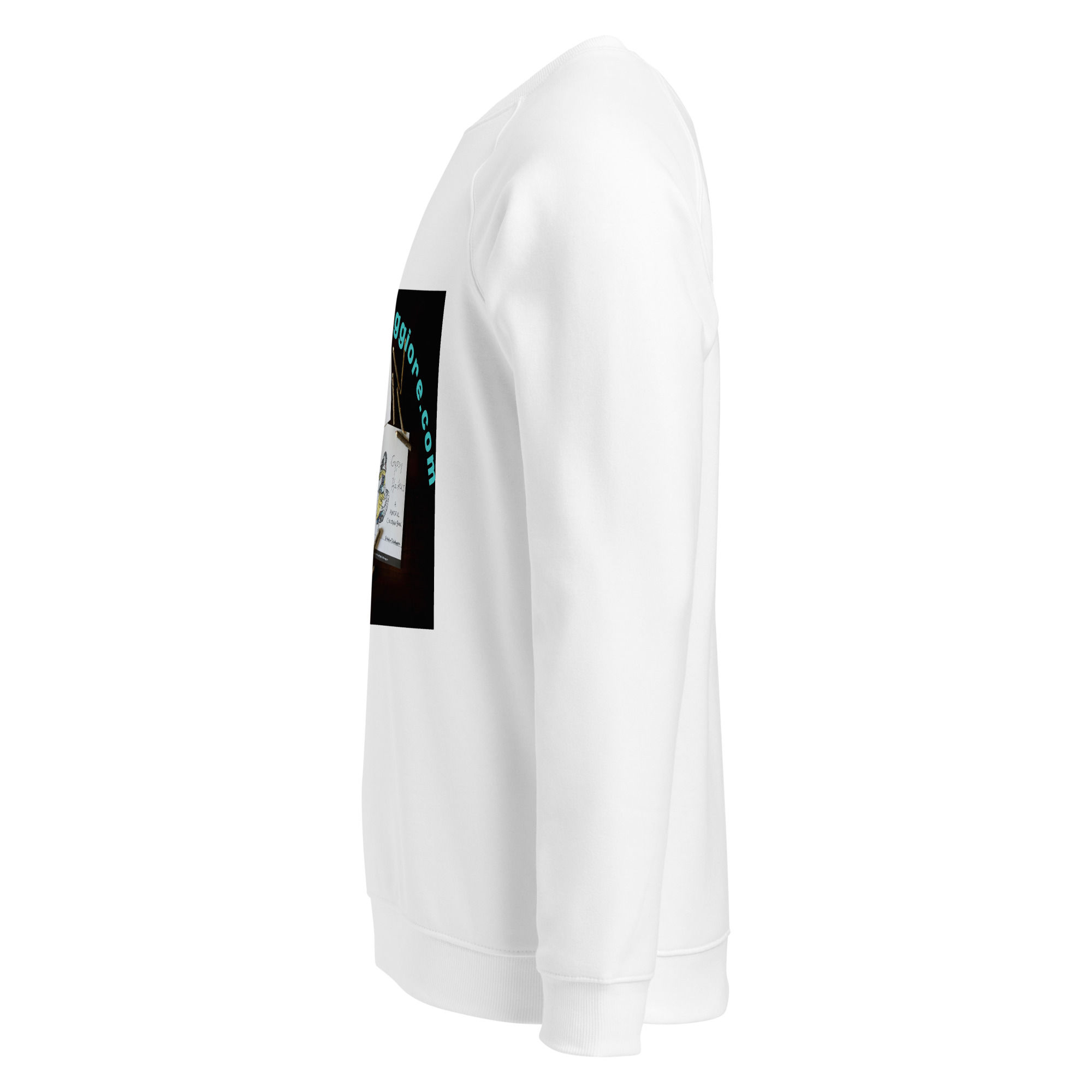 unisex organic raglan sweatshirt